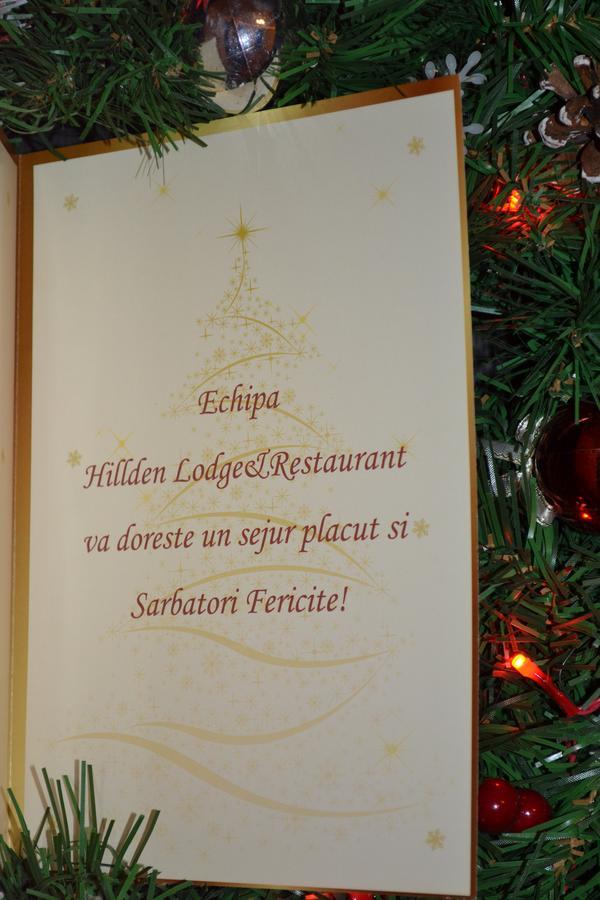 Drumu Carului Hotel Hillden Lodge&Restaurant מראה חיצוני תמונה